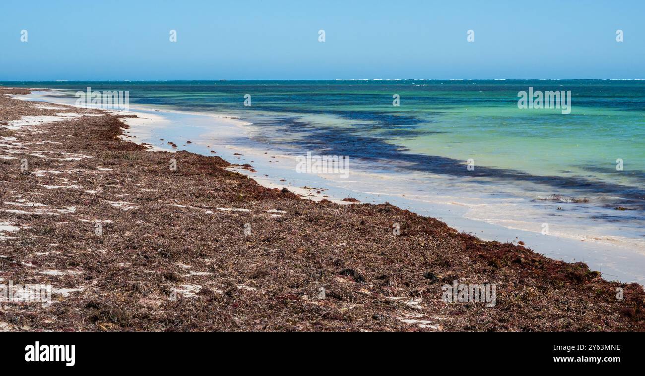 Kangaroo Point nel Nambung National Park si trova appena a sud della città di Cervantes, nell'Australia Occidentale. Foto Stock