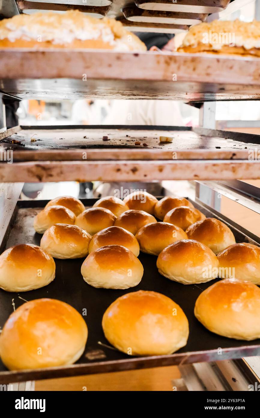 Pane e panini appena sfornati sui vassoi della pasticceria Foto Stock