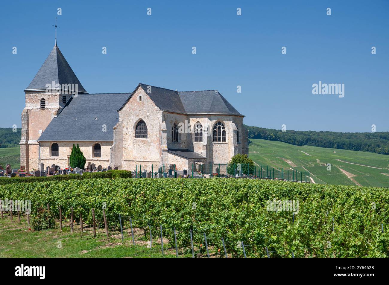 Chiesa di Saint-Martin de Chavot nella regione Champagne vicino a Epernay, Grand Est, Francia Foto Stock