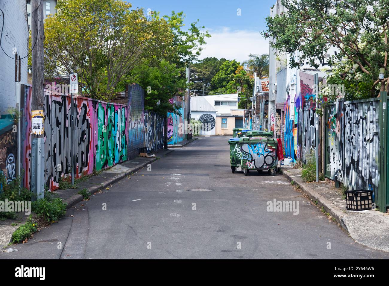 Foto generali di Newtown, Sydney che mostrano murales di Street art, Sydney. Foto Stock