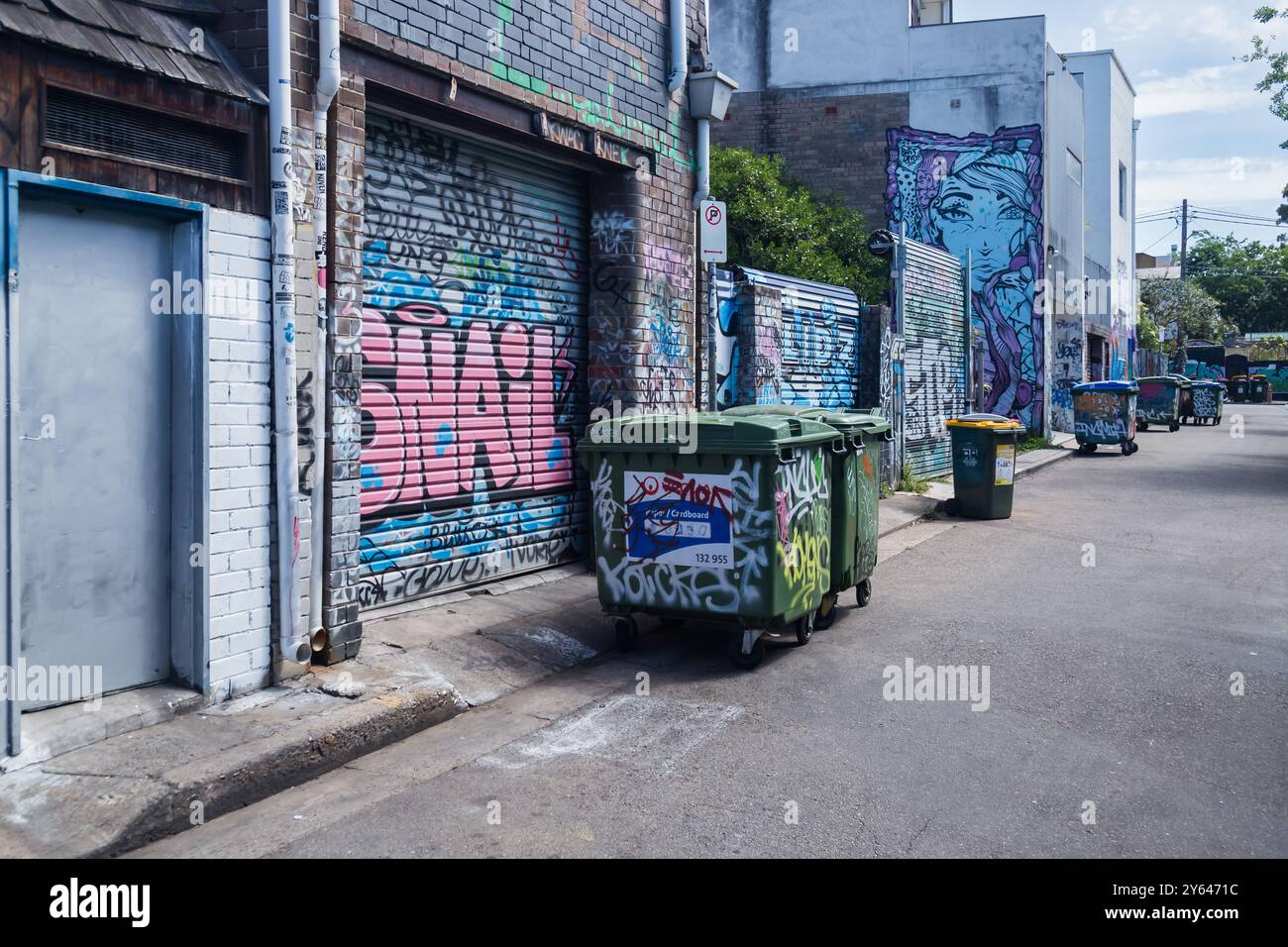 Foto generali di Newtown, Sydney che mostrano murales di Street art, Sydney. Foto Stock