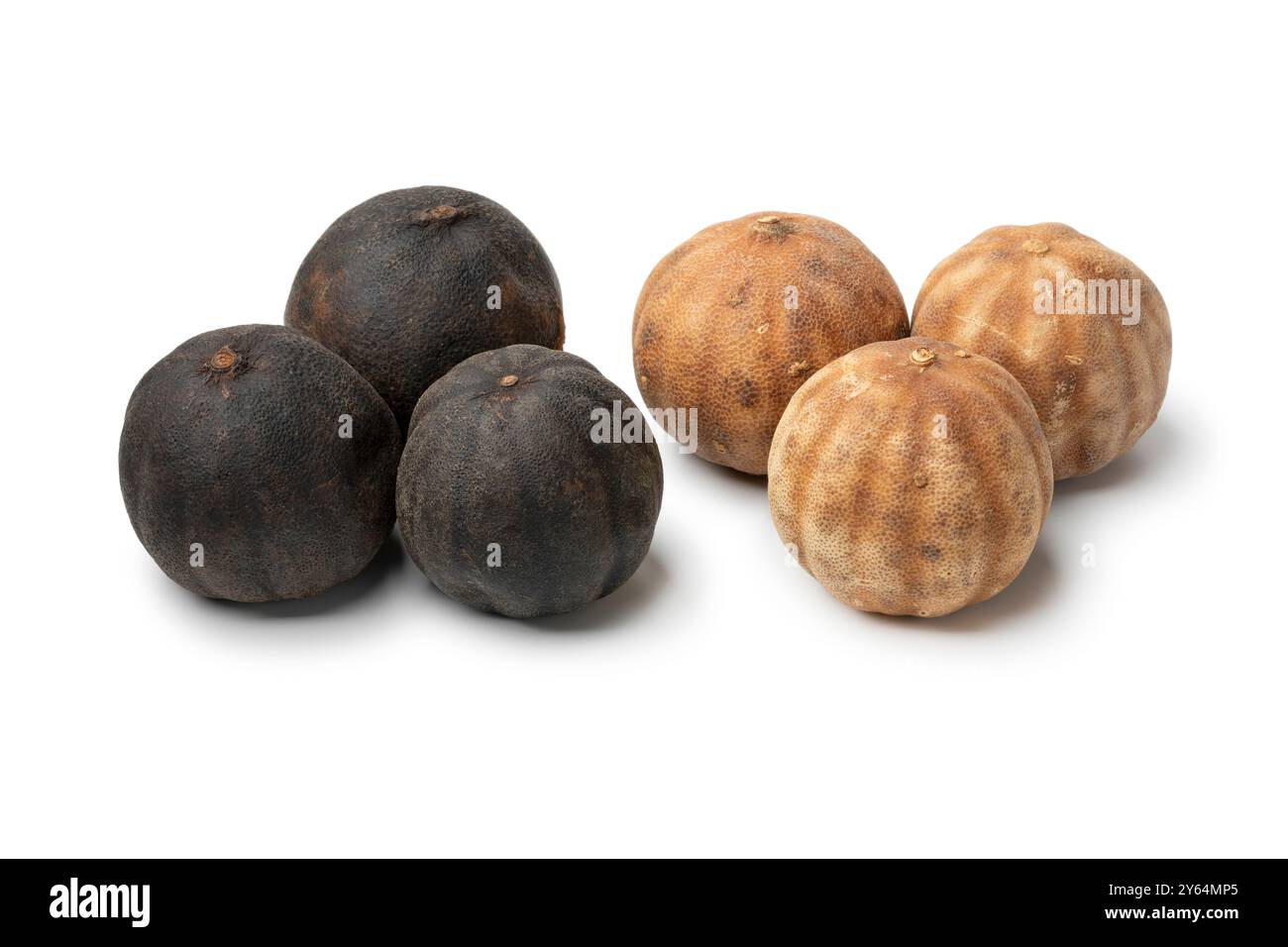 Limes neri, loomi e limoni bianchi essiccati interi isolati su sfondo bianco da vicino Foto Stock