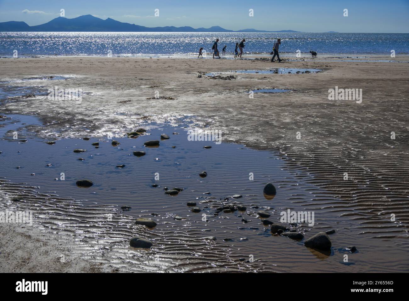 Isola di Llanddwyn. Una famiglia che cammina con il cane sulla spiaggia di Traeth Llanddwyn o Llanddwyn sull'isola di Anglesey nel Galles del Nord. Foto Stock
