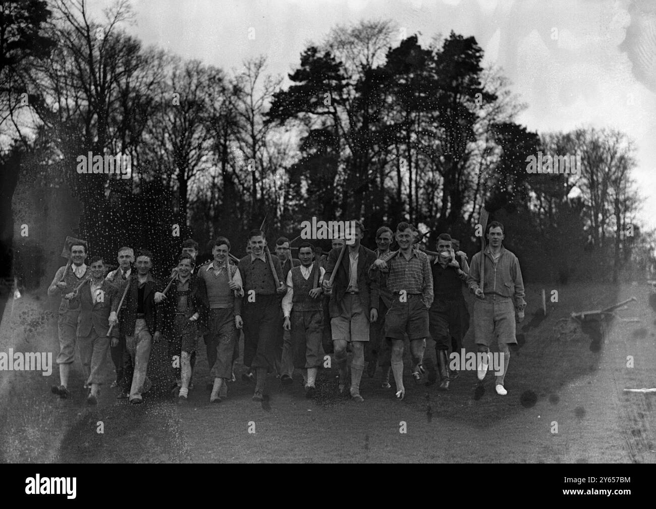 Quaranta persone - venti inglesi e venti tedeschi - lavorano insieme in un campo di lavoro anglo-tedesco che si tiene alla Dauntsey's School , West Lavington , Wiltshire , Inghilterra . I membri del campo hanno un'età compresa tra i 17 e i 28 anni e comprendono le mani di fabbrica e gli studenti universitari. Il lavoro consiste nel tagliare gli alberi , livellare il terreno e costruire strade . Organizzato in collaborazione con il circolo anglo-tedesco , il campo mira a una più ampia comprensione tra tutte le sezioni delle nazioni inglesi e tedesche . Qui si vedono i membri del campo che partono con asce e pale per un duro lavoro . 9 Foto Stock