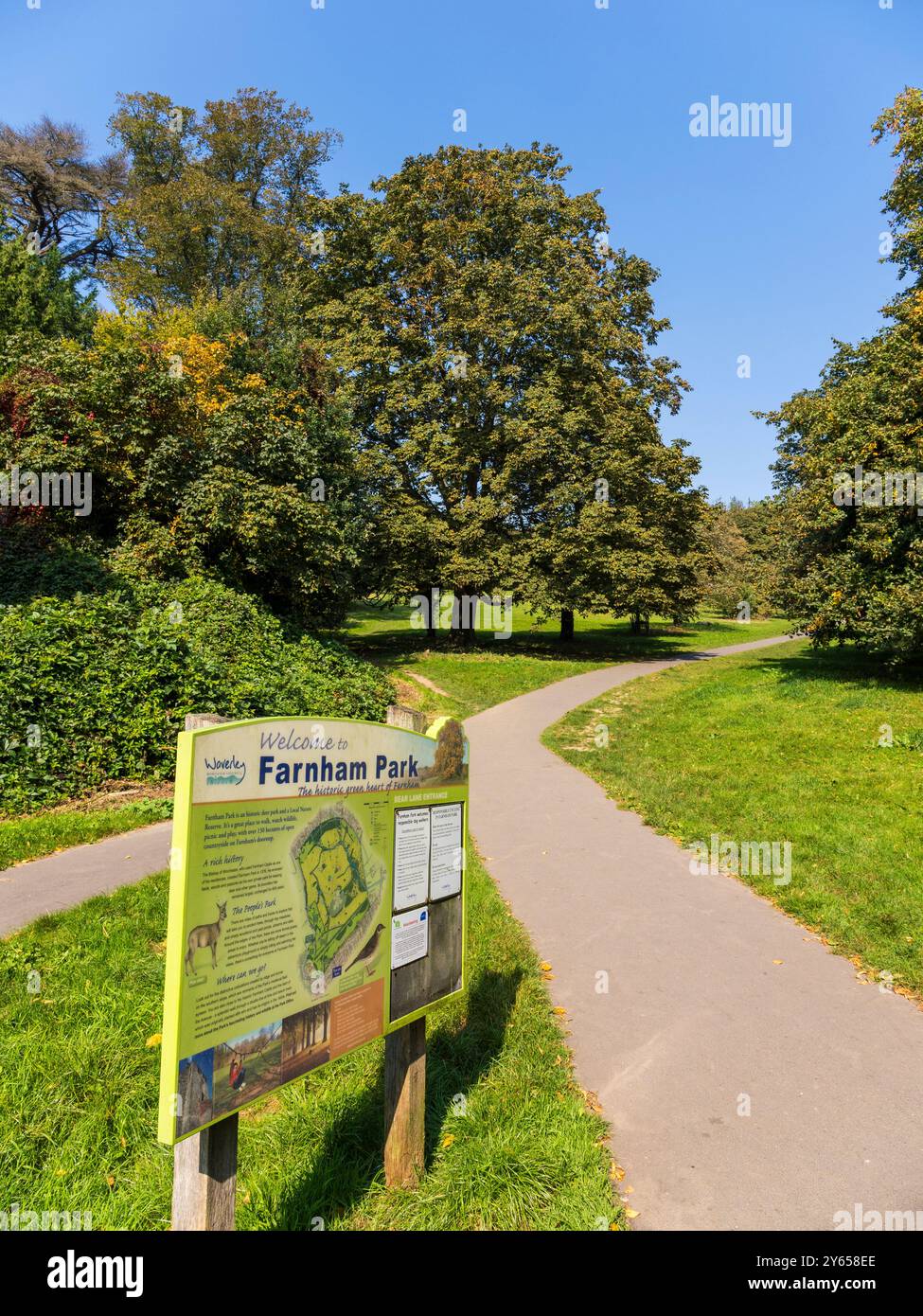 Farnham Park, Medieval Deer Park, Farnham, Surrey, Inghilterra, REGNO UNITO, REGNO UNITO. Foto Stock