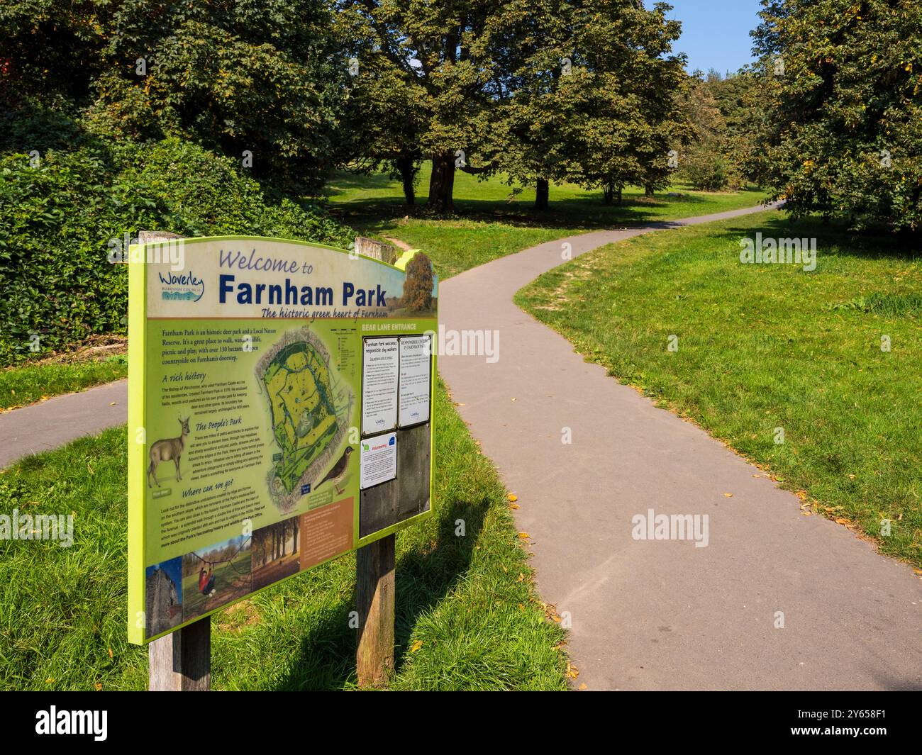 Farnham Park, Medieval Deer Park, Farnham, Surrey, Inghilterra, REGNO UNITO, REGNO UNITO. Foto Stock