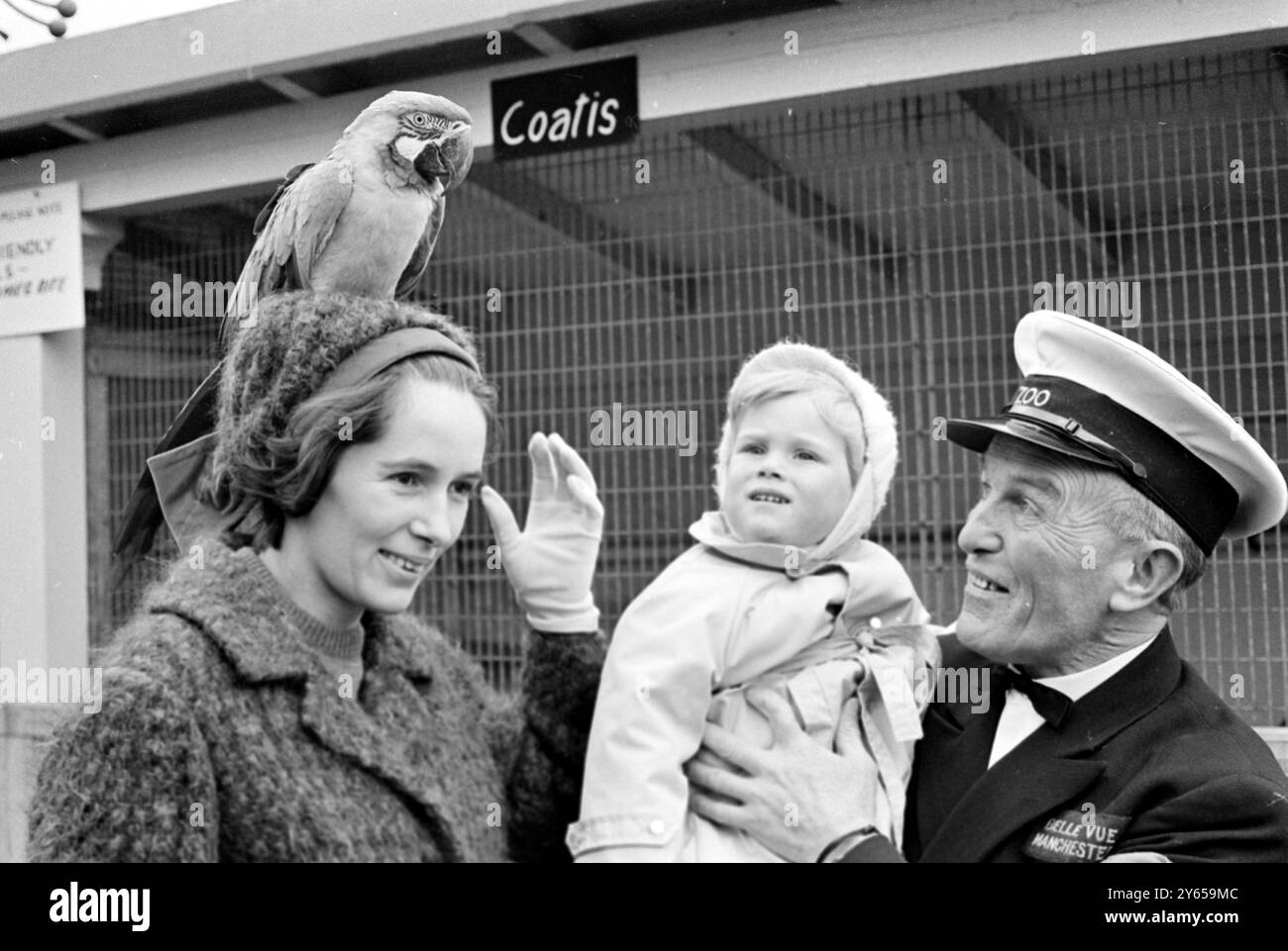 Pretty Polly entrò nella ribalta politica quando un giovanissimo Churchill si prese un giorno libero dal Gorton by Election Hustings per visitare il Belle Vue Zoo di Manchester . La signora Minnie Churchill , moglie di Winston Churchill , decise che era tempo che Randolph 2 1/2 anni si prendesse una pausa e lo portasse a vedere gli animali allo zoo . L'animale preferito di Randolph si rivelò essere Polly , un'ara blu e gialla di nome Joey Mac , che si aprì sul cappello della mamma , con grande divertimento di Randolph . 27 ottobre 1967 Foto Stock