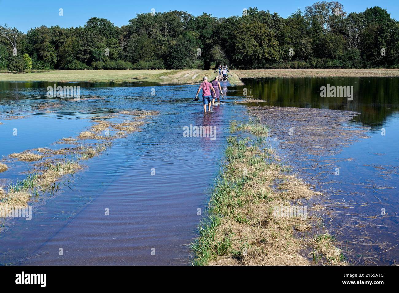 Überflutete Felder EUR, Deutschland, Dessau: DAS Hochwasser der Elbe und der Mulde sorgt für Überschwemmungen der Auenwiesen und Auenwälder in der Region Dessau-Roßlau. BEI sinkenden Pegelständen sind wieder Spaziergänger unterwegs. *** Campi allagati EUR, Germania, Dessau le inondazioni dei fiumi Elba e Mulde stanno causando inondazioni dei prati alluvionali e delle foreste nella regione di Dessau Roßlau mentre i livelli delle acque calano, gli escursionisti sono fuori e di nuovo in giro Foto Stock