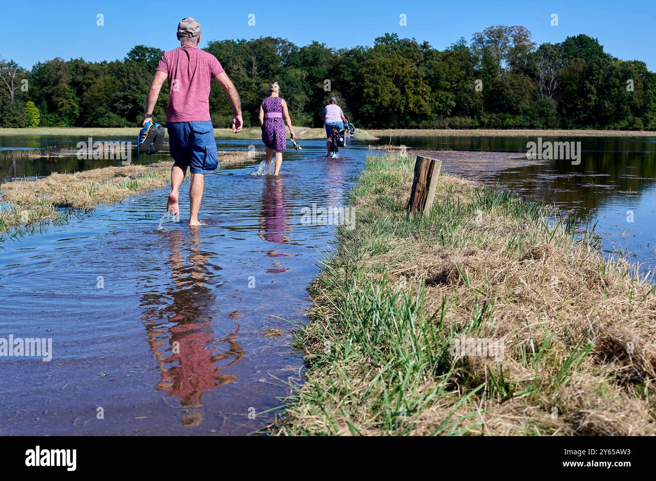 Überflutete Felder EUR, Deutschland, Dessau: DAS Hochwasser der Elbe und der Mulde sorgt für Überschwemmungen der Auenwiesen und Auenwälder in der Region Dessau-Roßlau. BEI sinkenden Pegelständen sind wieder Spaziergänger unterwegs. *** Campi allagati EUR, Germania, Dessau le inondazioni dei fiumi Elba e Mulde stanno causando inondazioni dei prati alluvionali e delle foreste nella regione di Dessau Roßlau mentre i livelli delle acque calano, gli escursionisti sono fuori e di nuovo in giro Foto Stock