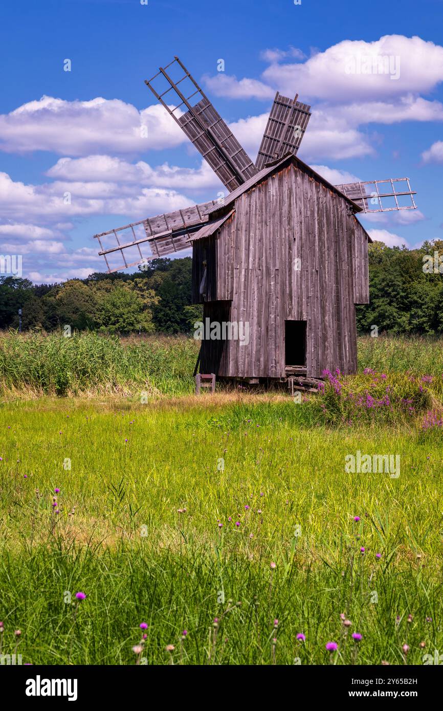 Mulino a vento rurale tradizionale rumeno, Museo ASTRA, Sibiu, Transilvania, Romania Foto Stock