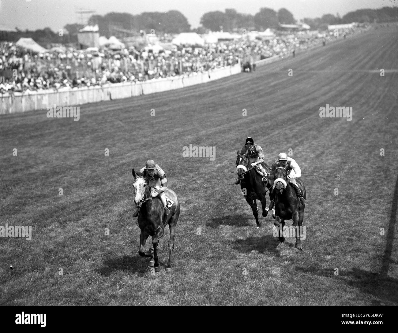 Jockey Lester Piggott in sella alla Petite Etoile (n 5) vince la grande gara della giornata - la Coronation Cup , ad Epsom . Al secondo posto è Parthia guidata da WH Carr con sopra sospetto guidato da D Smith al terzo posto. 2 giugno 1960 Foto Stock
