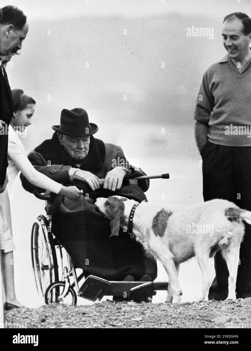 Sir Winston fa di Un nuovo amico Un cane stringe il naso nella coperta che copre le gambe del 88enne Sir Winston Churchill mentre siede su una sedia a rotelle vicino al mare in una gita a Cap D'Ail , dove ispeziona una fortificazione tedesca in tempo di guerra . 20 aprile 1963 Foto Stock