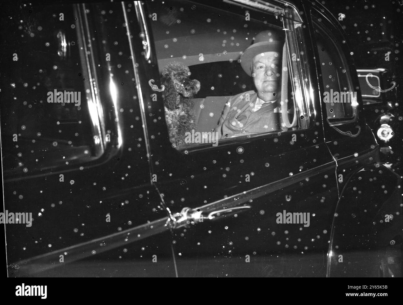 Churchill parte per Chequers il primo Ministro Sir Winston Churchill ha lasciato Downing Street al numero 10 per la casa di campagna del Premier, Chequers, questo pomeriggio. Ha presieduto due riunioni di gabinetto a Londra nel giro di una settimana . Sir Winston si vede qui con il suo cane Rufus, in macchina che lo porta a Chequers. 26 ottobre 1953 Foto Stock