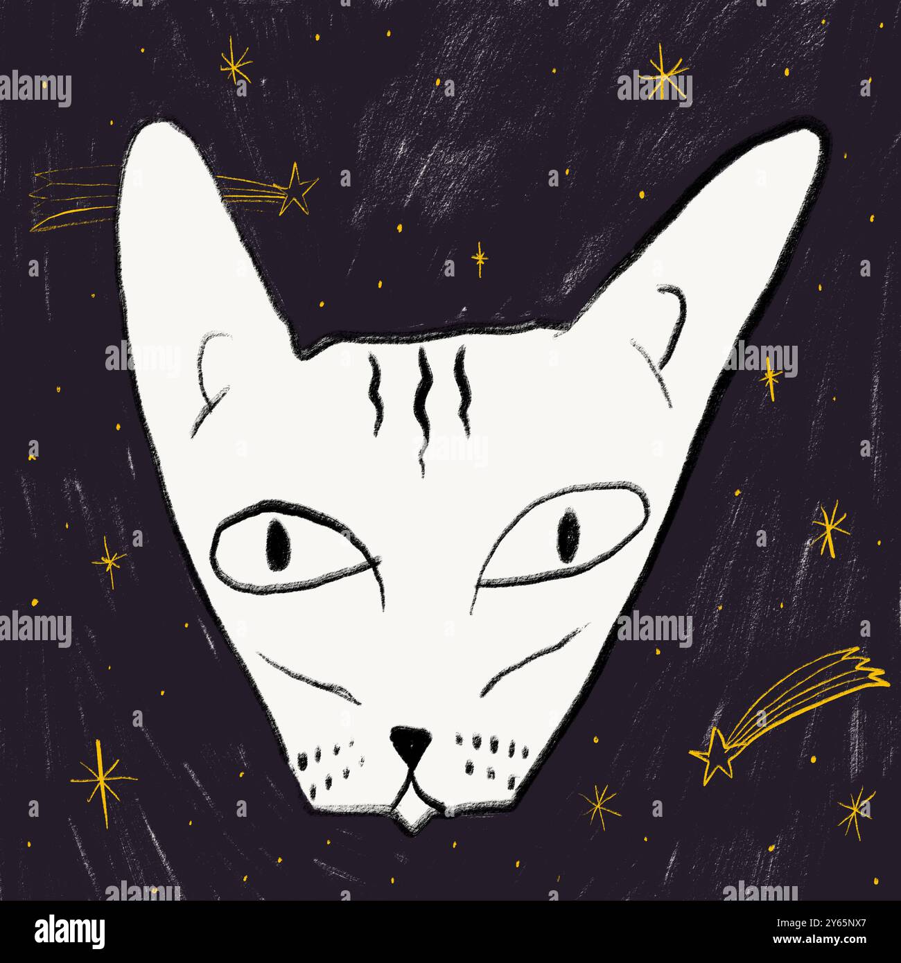 Un'illustrazione disegnata a mano in stile sketch di un gatto accattivante su uno sfondo scuro e stellato, che trasuda un fascino stravagante. Foto Stock