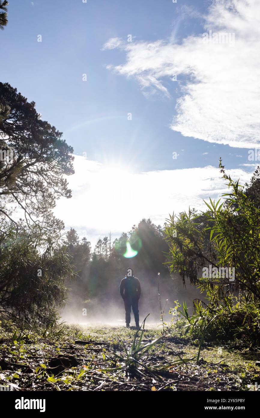 Un escursionista solitario cammina attraverso una foresta nebbiosa baciata dal sole, toccata da raggi di luce del mattino Foto Stock