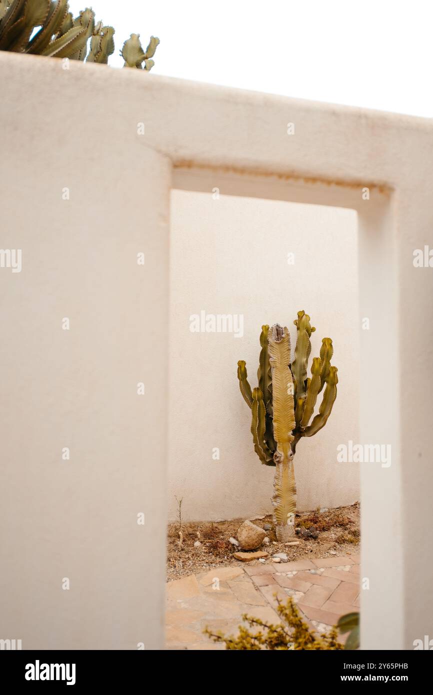 Una vista creativa di un cactus incorniciato da una porta geometrica bianca minimalista, che presenta l'arido paesaggio di Agua Amarga, Spagna. Foto Stock