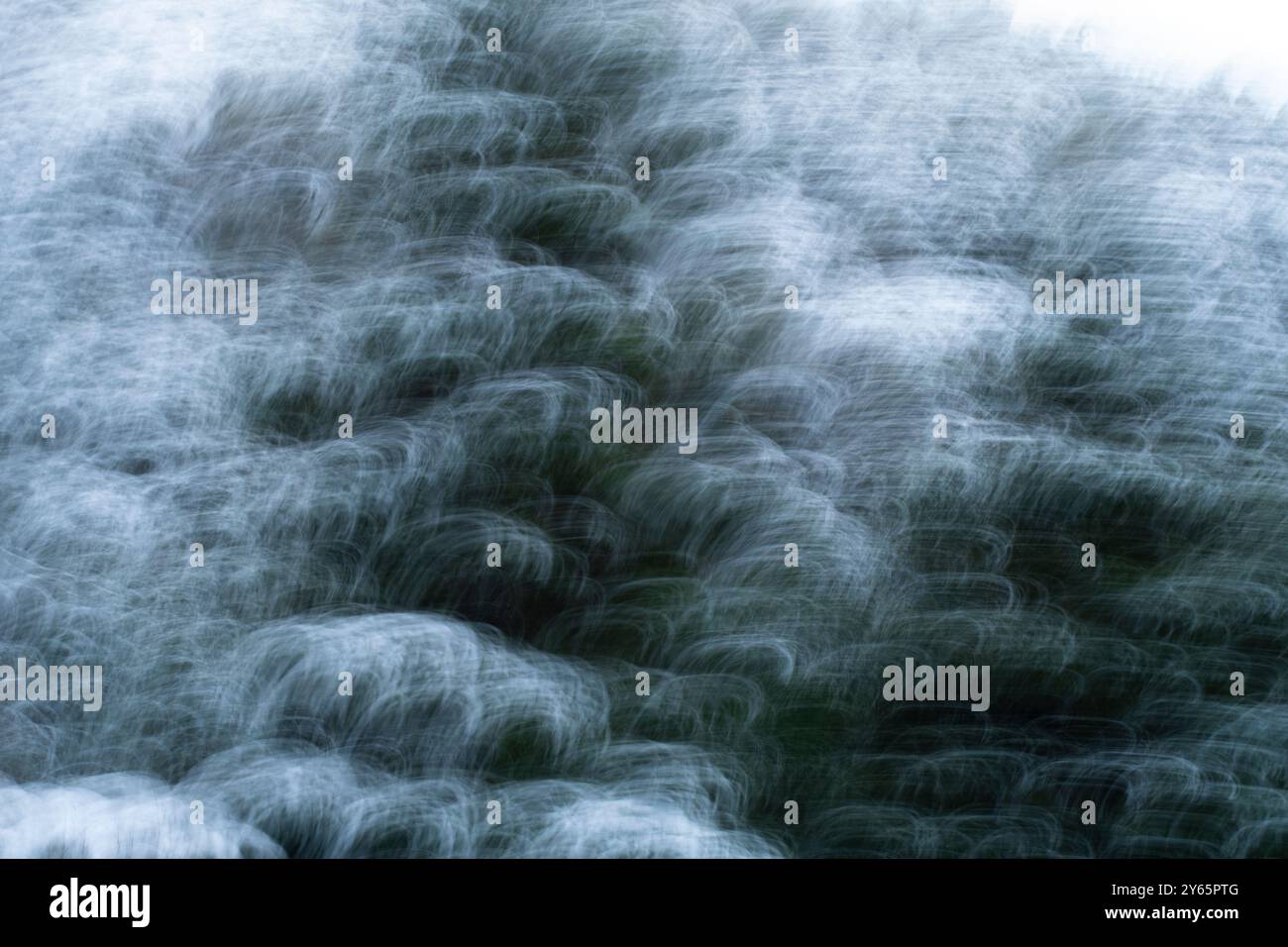 Immagine astratta che cattura l'effetto sfocato di una foresta innevata in inverno la sfocatura in movimento crea un'impressione dinamica e artistica della natura Foto Stock