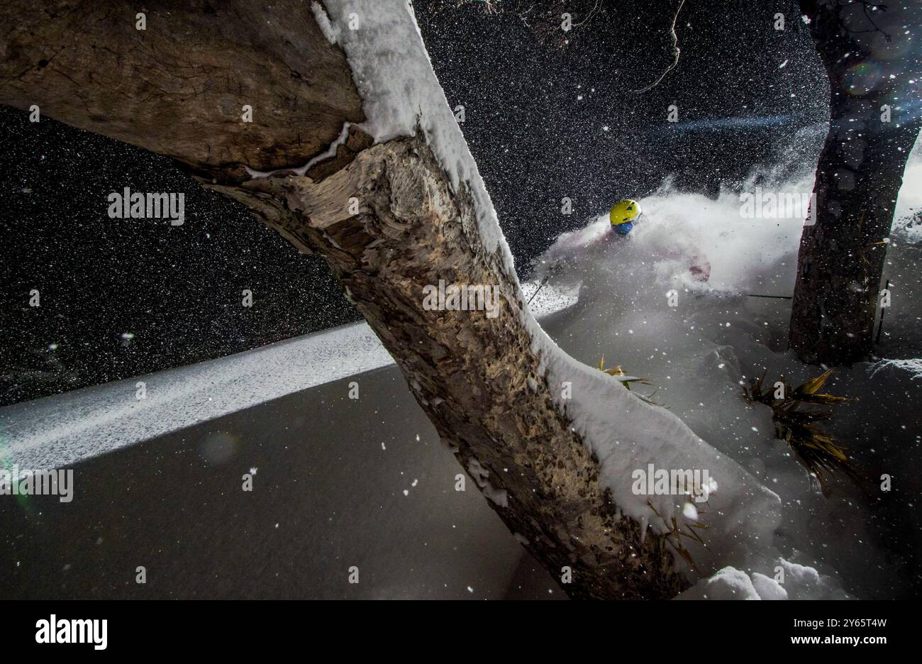 Uno sciatore scende rapidamente attraverso una fitta e fresca neve sotto un cielo notturno tra gli alberi innevati di Niseko, situato sull'isola giapponese di Hokkaido Foto Stock