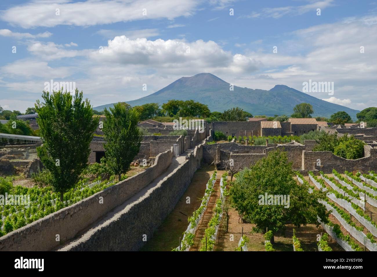 Una tranquilla vista delle antiche rovine di Pompei, con file di strutture conservate e giardini lussureggianti, con l'imponente Vesuvio che incombe sul monte Foto Stock