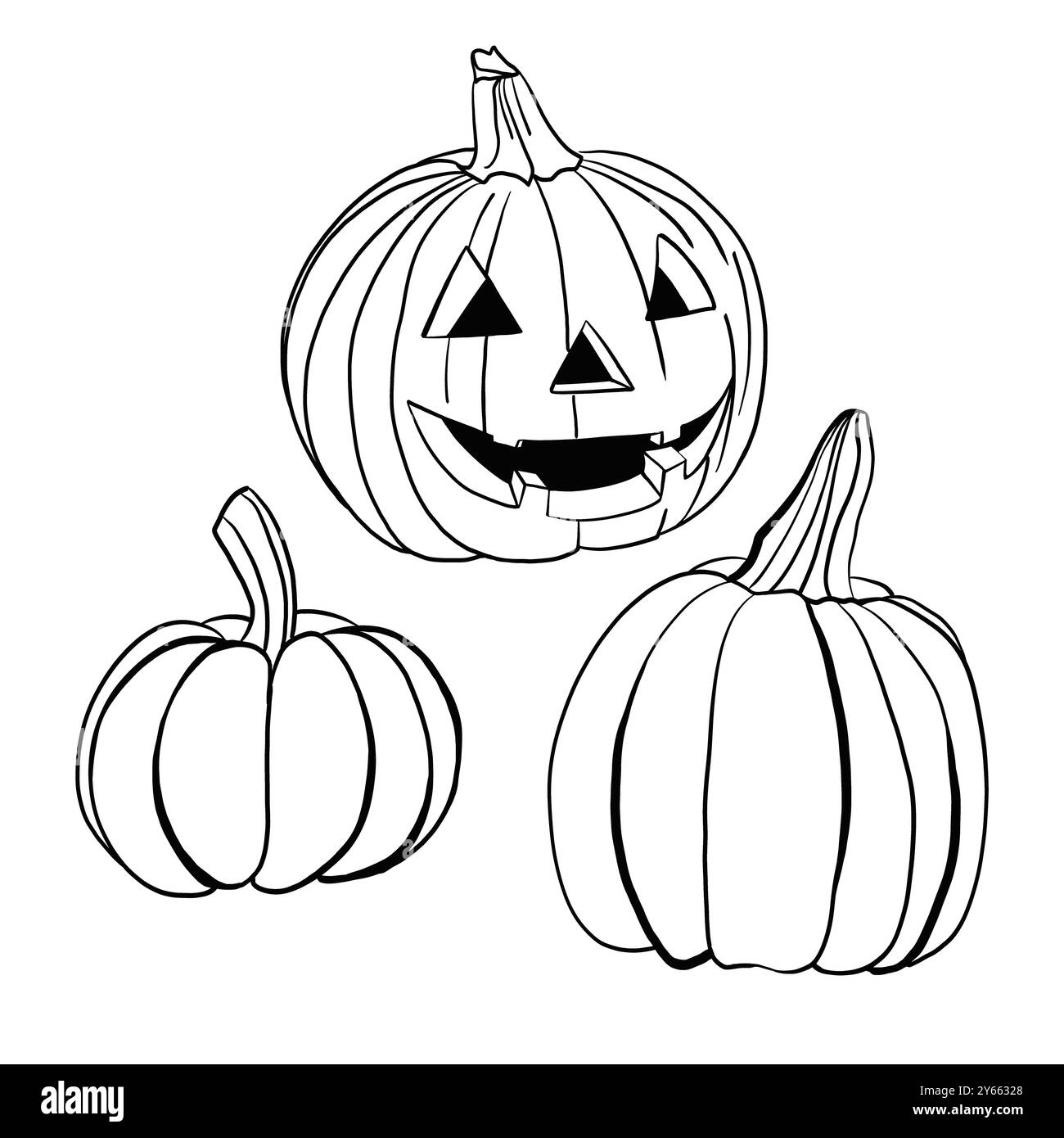 Set di tre zucche. Zucche per Halloween. Illustrazione dello schizzo. Bianco e nero. Foto Stock