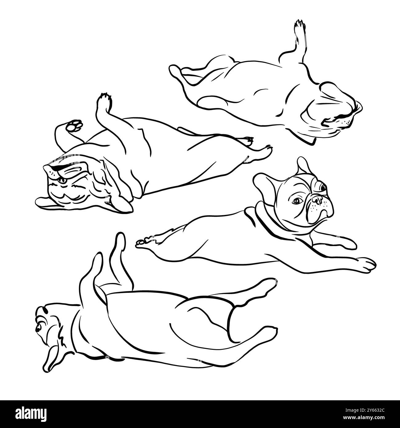 Set di quattro bulldog francesi. Illustrazione dello schizzo. Cani divertenti giacciono sulla schiena. Colore bianco e nero. Nessuno sfondo. Foto Stock