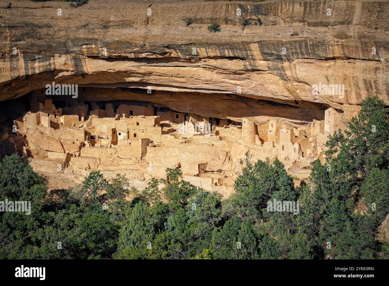 Annidato tra le aspre scogliere di Mesa Verde, Colorado, Cliff Palace si erge come una notevole testimonianza dell'ingegnosità degli ancestrali pueblo. Foto Stock