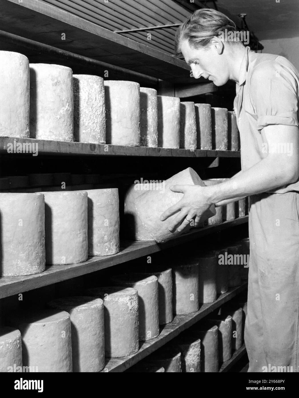 Colston Bassett and District Dairies Ltd produzione di formaggio - caseificio Stilton a Colston Bassett , nella sala di stagionatura , i formaggi devono essere ispezionati regolarmente. Il sig. Bruce Marston, vice direttore di questo caseificio, e visto controllare un formaggio. 17 settembre 1962 Foto Stock