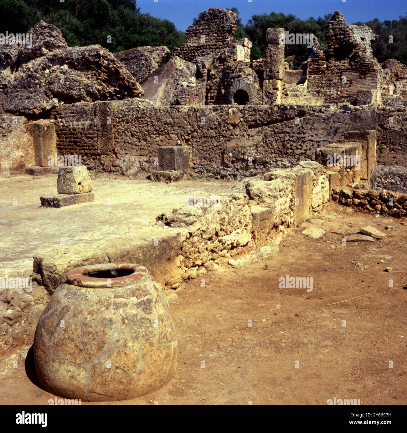 Rovine della colonia militare romana di Claudio , Tipaza , Algeria , Africa settentrionale Foto Stock