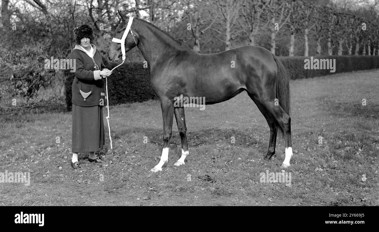 Lady Wentworth famosa allevatrice araba di cavalli con Nasira a Crabbet Park 'STIR' vincitrice della Medaglia d'Oro all'ultimo Royal Show il 17 marzo 1923 Foto Stock