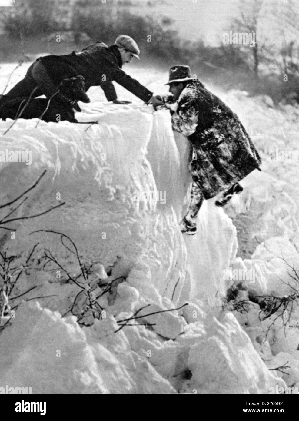 Inghilterra meridionale sotto la neve un pedone salvato da una pericolosa situazione vicino a Biggin Hill nel Kent, salendo fuori da una fossa di neve di 20 piedi dopo una caduta rotta stringendo un albero dicembre 1927 Foto Stock