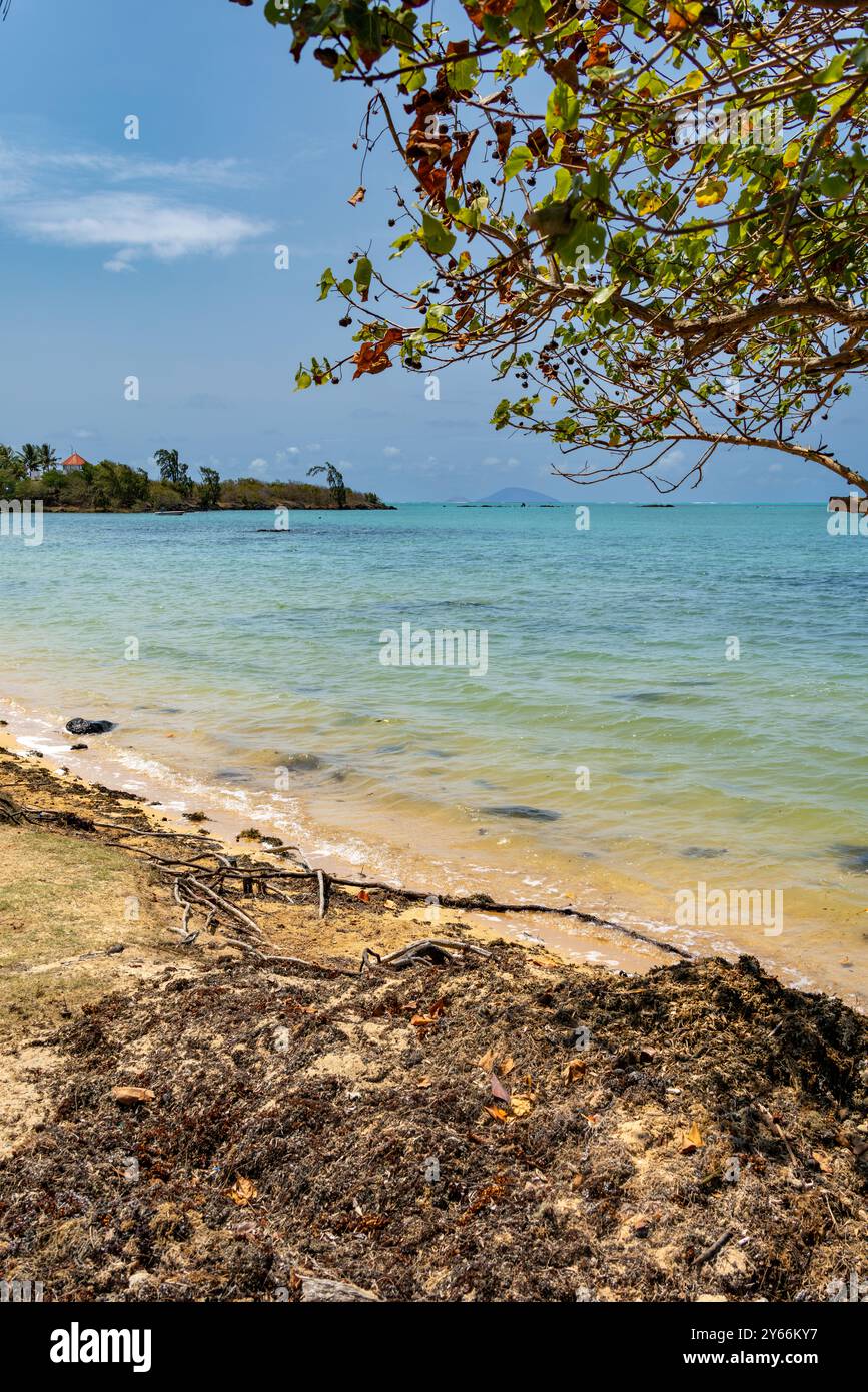 Spiaggia rocciosa vicino alla barriera corallina nelle giornate di sole con cieli azzurri e nuvole chiare Cap malheureux Mauritius Foto Stock