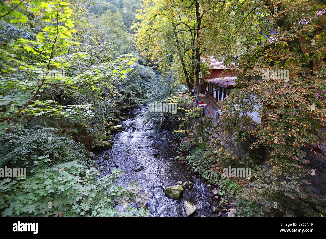 Thale 20.09.2024, Thale, Hexentanzplatz Heidnische Kultstaette mit Statuen von Hexen und Daemonen - Blick auf die Bode im Bodetal am Gasthaus Koenigsruhe *** Thale 20 09 2024, Thale, Hexentanzplatz Pagan sito di culto con statue di streghe e demoni veduta del fiume Bode nella Valle del Bode nella locanda Koenigshe Foto Stock