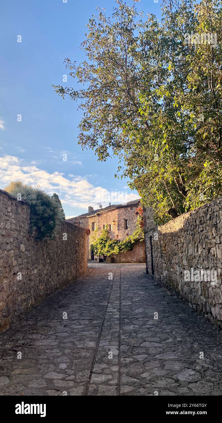 Immagini delle splendide strade in pietra e dell'antica architettura di Medinaceli, che catturano il fascino tranquillo di questa storica città di Soria, Spagna. Foto Stock