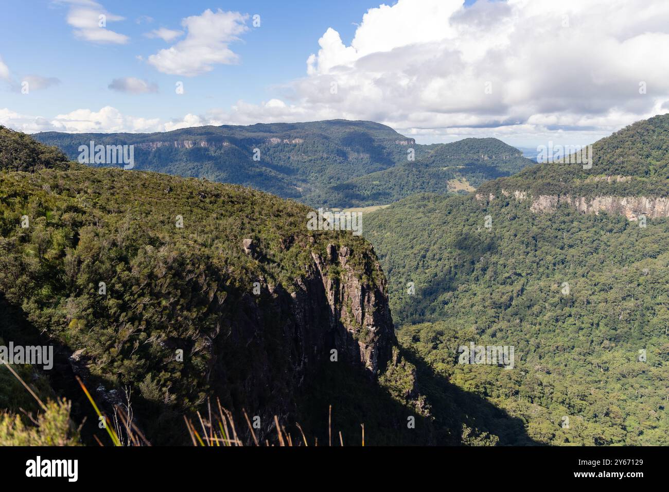 Una vista panaromica da Joalah Look Out, Binna Bura, Lamington National Park, Queensland, Australia Foto Stock