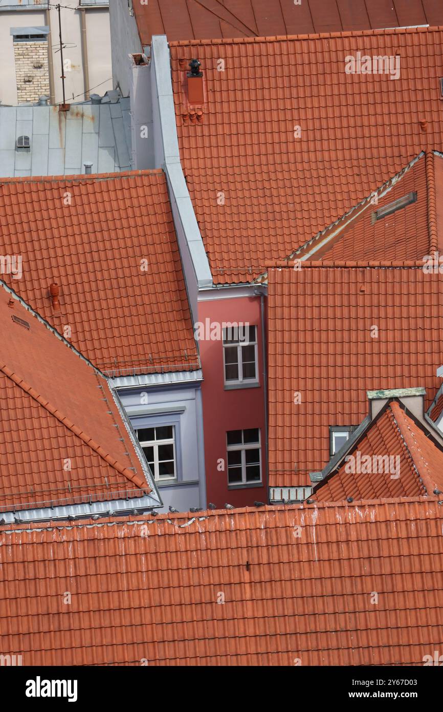 Vita stretta a riga, Lettonia, tetti asimmetrici che incorniciano finestre Foto Stock