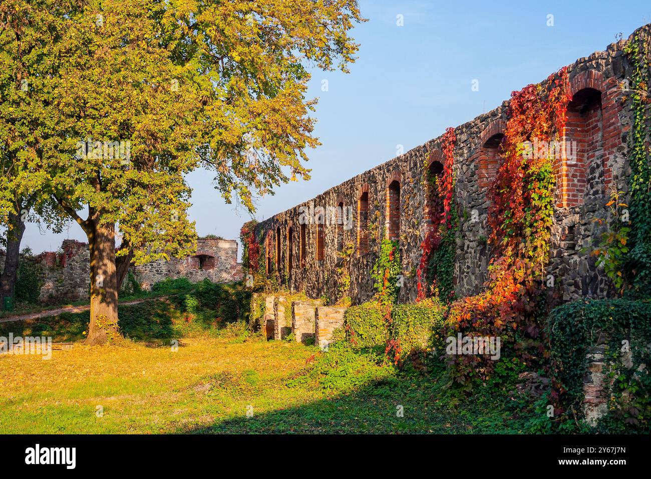 uzhhorod, ucraina - 12 ottobre 2008: muro del castello di pietra alla luce della sera. paesaggio urbano in autunno. pianta d'edera e fogliame colorato. cortile interno. popolare Foto Stock