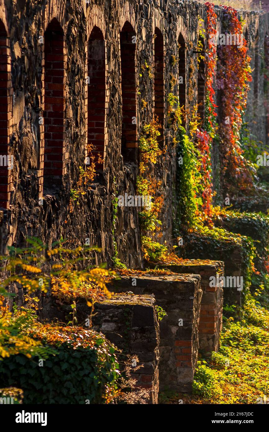 uzhhorod, ucraina - 12 ottobre 2008: muro del castello di pietra alla luce della sera. paesaggio urbano in autunno. pianta d'edera e fogliame colorato. cortile interno. popolare Foto Stock