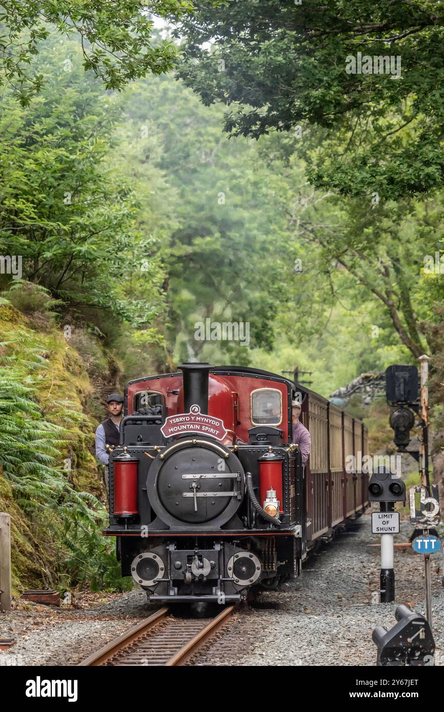 La ferrovia Ffestiniog 'Double Fairlie' 0-4-4-0T No. 12 'David Lloyd George' si avvicina alla stazione di Tan-y-Bwlch sulla ferrovia Blaenau Festiniog Foto Stock