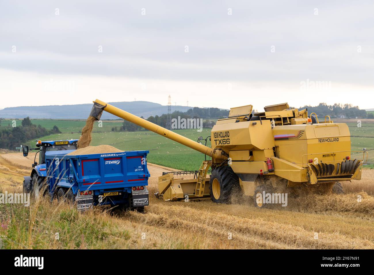 22 settembre 2024. Keith, Moray, Scozia. Si tratta di una mietitrebbiatrice New Holland che taglia il prodotto per cereali da orzo e lo scarica nel trattore e nel Trai Foto Stock