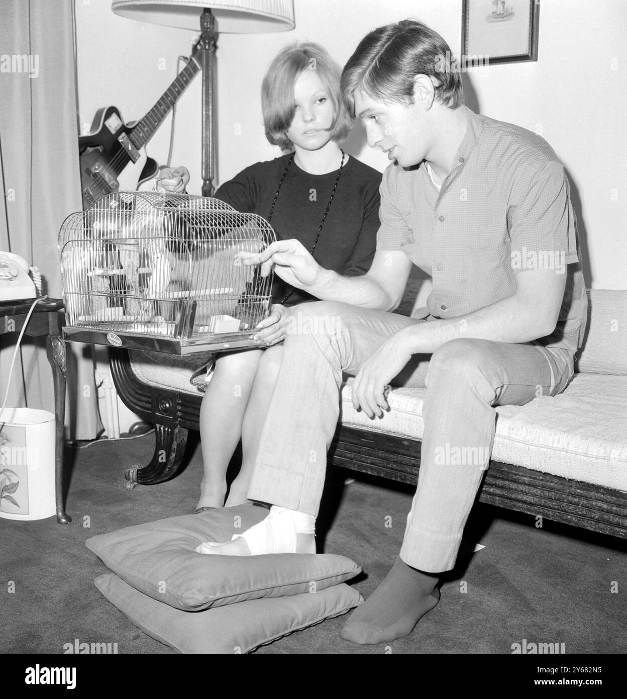 Oggi, nel suo appartamento londinese, Georgie Fame, del gruppo pop Georgie Fame e dei Blue Flames, viene presentata con un paio di budgerigi ammirando la ragazza, Miss June Game, 15, di Waltham Cross. Georgie è prevista per un'apparizione televisiva domani. Ha subito un infortunio quando è caduto dalle scale nel suo appartamento domenica. Il suo nuovo disco Something verrà pubblicato domani e, insieme al dono dei budgies, questo è sicuramente qualcosa che lo tira su. 14 ottobre 1965. Foto Stock