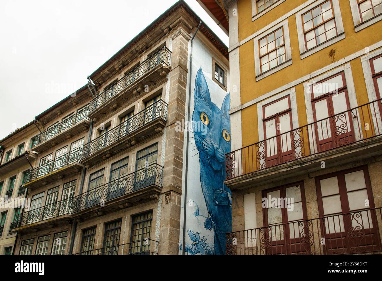 Street art del gatto cobalto blu o Perspéntico, un grande murale dell'artista galiziano Liqen, Rua de Afonso Martins Alho, Porto, Portogallo Foto Stock