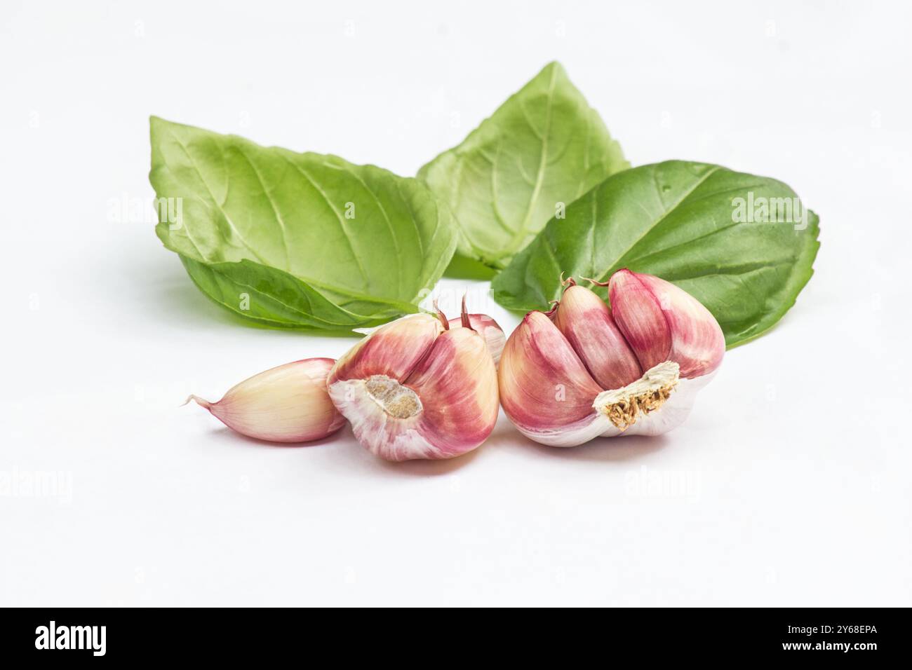 Foglie di basilico (Ocimum basilicum) e spicchi d'aglio su sfondo bianco Foto Stock