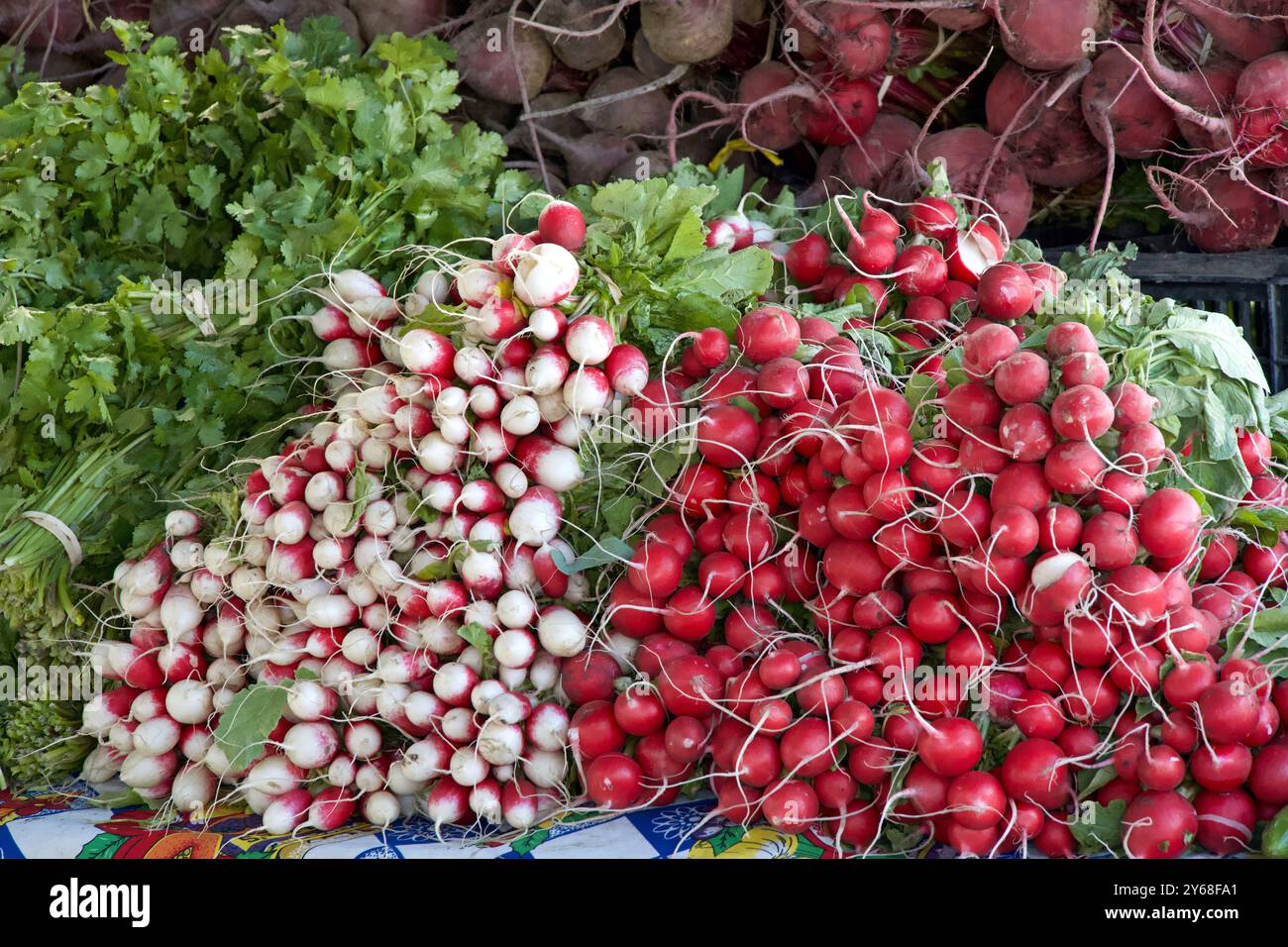 Primo piano di grappoli di Radiosine francesi rosse e bianche accatastate per la vendita al mercato agricolo Foto Stock