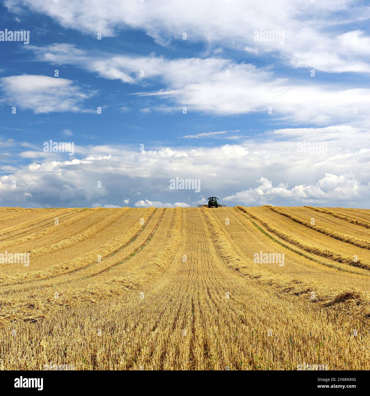 Trattore in stoppia per la raccolta e la rotazione della paglia, campo di grano con impressionanti nuvole di cumulus, in avvicinamento al temporale, Saalekreis, Sassonia-Anhalt, Foto Stock