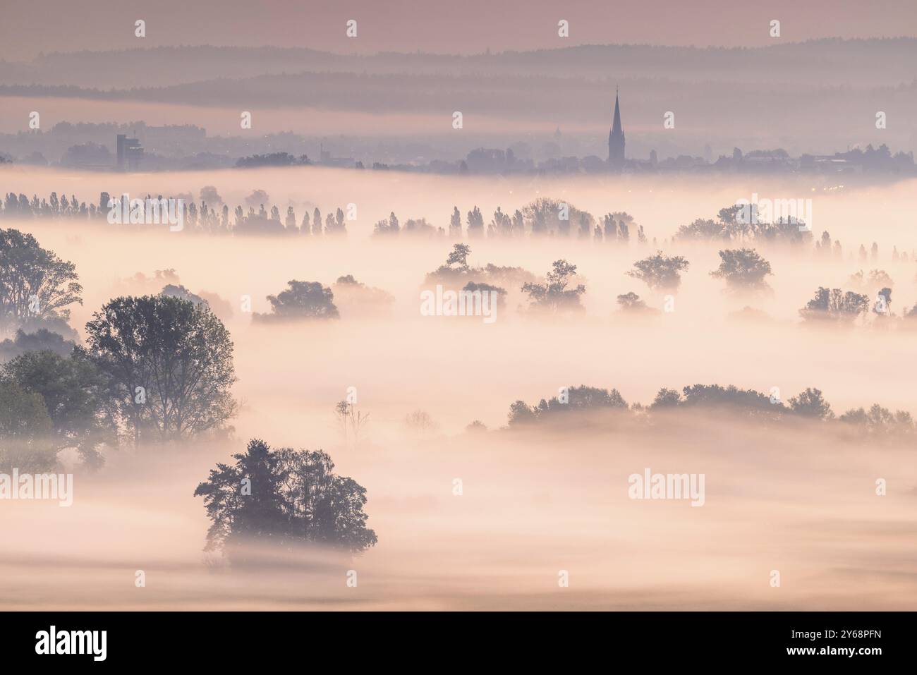 Alba su campi nebbiosi con alberi e la torre della cattedrale con luce rosa, Galgenberg, Aachried, Radolfzell, Lago di Costanza, Baden-Wuerttemb Foto Stock