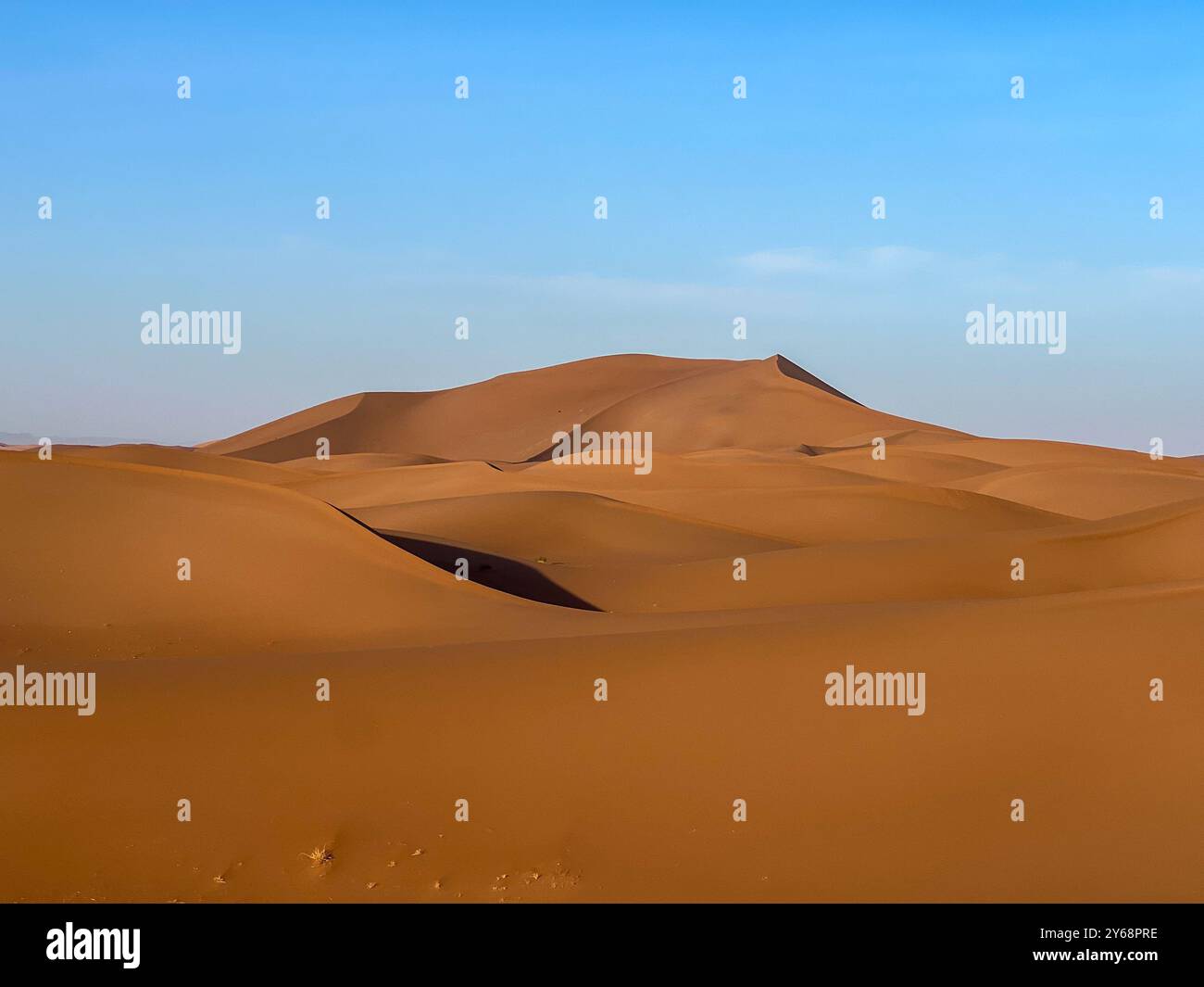 Dune di sabbia gialla di Erg Chegaga, deserto del Sahara, Marocco Foto Stock