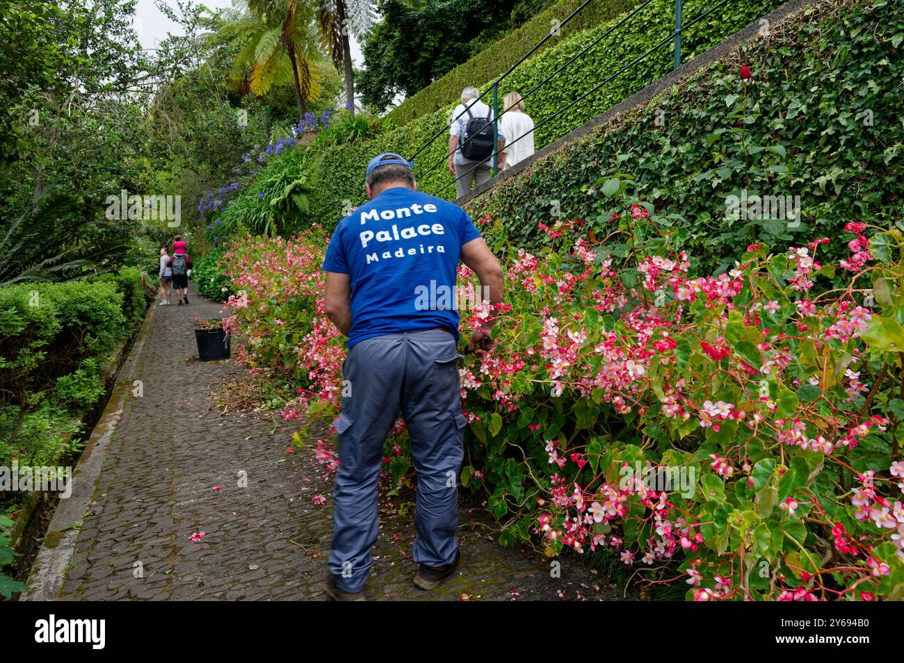 Il giardiniere si occupa di fiori vivaci lungo i sentieri panoramici del Palazzo del monte Foto Stock