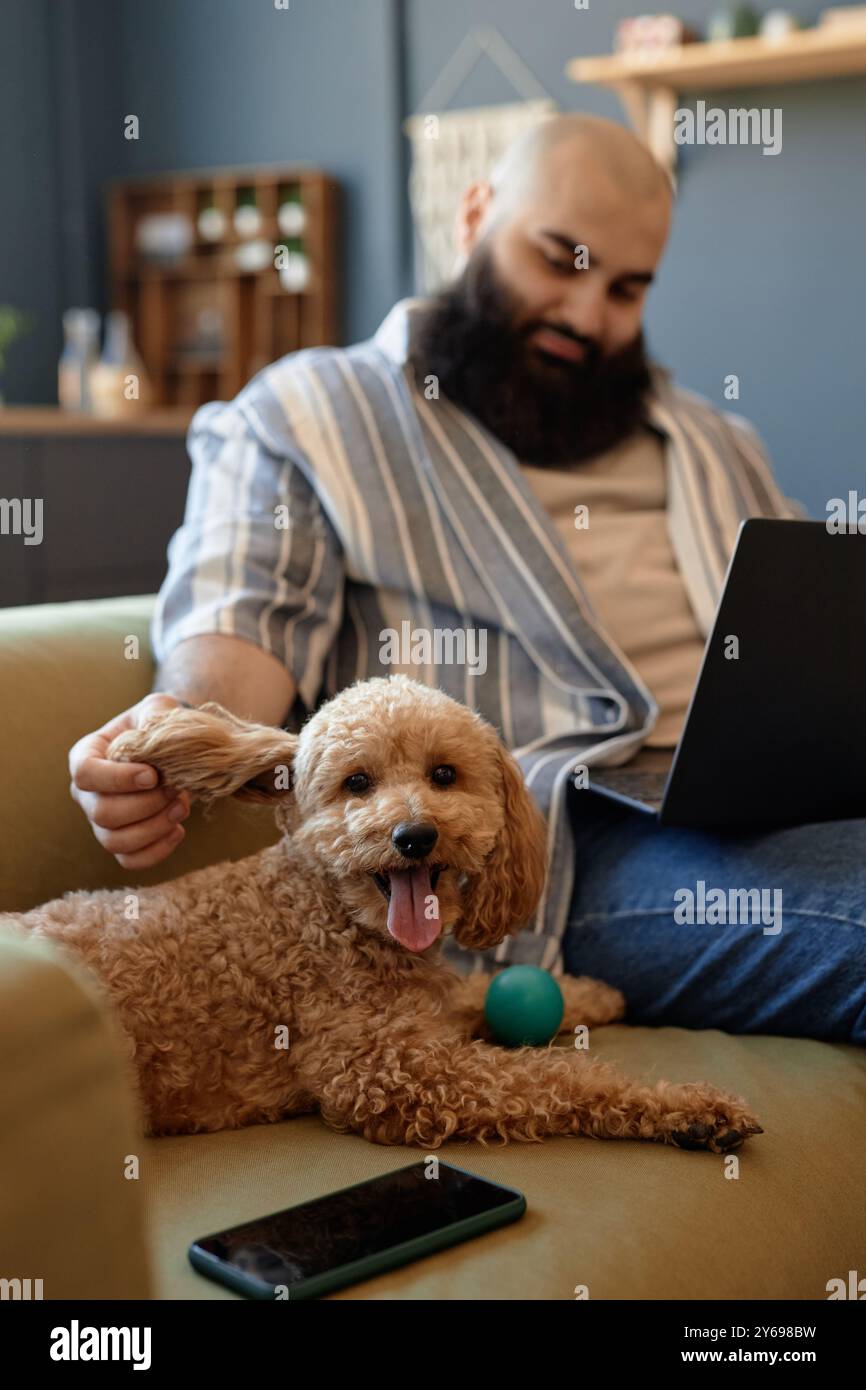 Uomo seduto comodamente sul divano con il cane che riposa nelle vicinanze e che utilizza un computer portatile in un soggiorno moderno Foto Stock