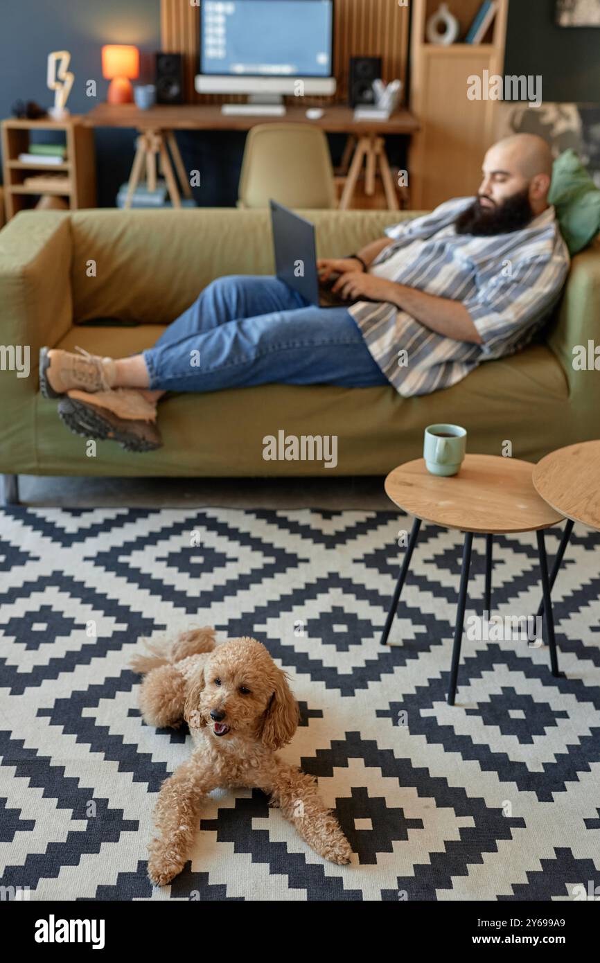 Uomo che si rilassa sul divano con un computer portatile, lavora mentre il suo cane riposa sul tappeto nelle vicinanze, creando un'area di lavoro accogliente e produttiva con un ambiente confortevole Foto Stock