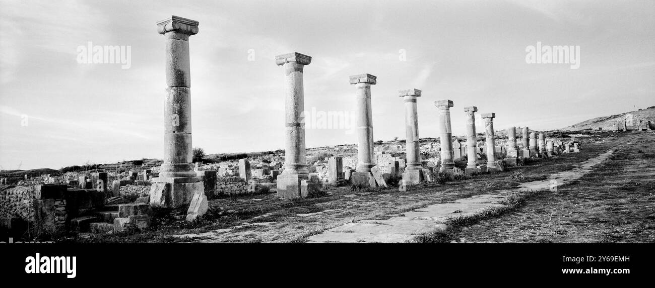 Città romana di Volubilis (II d.c.), sito archeologico. Marocco. Foto Stock